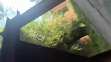 ��� ���� ���������� "�������" �������� �� �������� "���������" � ������ ����
