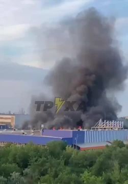 � ������ ���� ����� ��������� ������ ����� ������������ ����������� ��������