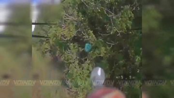 Операторы БпЛА 69 отдельной бригады прикрытия 35 гвардейской общевойсковой армии группировки войск «Восток» уничтожили антенны наземных станций управления в районе населенного пункта Орлы, Днепропетровской области