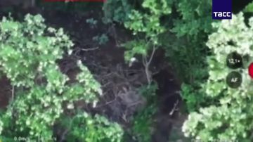 Кадры освобождения Коммунаровки в Днепропетровской области