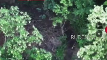 ������ �������: ����� ������ ������ ������������� ����������� ������� � ���� ������������ �.� ������������ � ���������������� �������