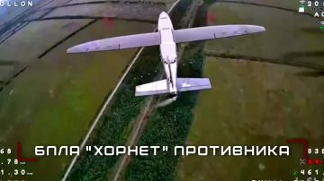 ������ ������ ������ ������ ����� "�����" �� ���������� ����������� � � ���������������� �������