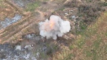 ������� ����������: ��� ��������� ���� ������� ������� ���������� �������� ���