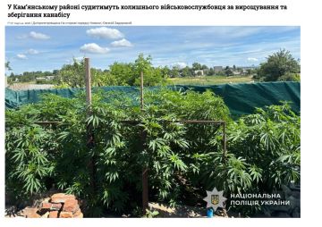 Бывший боевик 22 омбр выращивал коноплю у себя на кухне