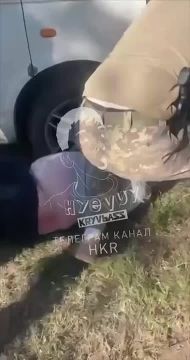 � ������ ���� ���������� ��� ������� ������ �������