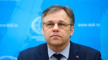 Мирошник: с начала года от рук Киева погибли более 35 детей