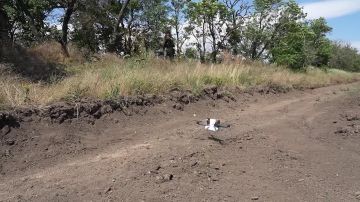 Бойцы группировки войск «Днепр» сорвали ротацию противника