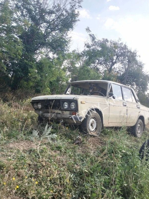Пьяный водитель посадил за руль собаку и попытался свалить на нее вину за ДТП Пьяный водитель посадил за руль собаку и попытался свалить на нее вину за ДТП