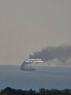 Михаил Онуфриенко: ВС РФ за ночь нанесли удары по трём сухогрузам в Чёрном море