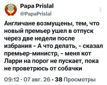 ������� �����. �����������