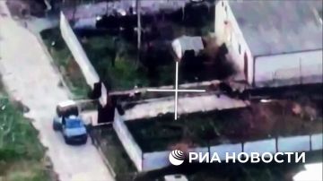 Российские войска ликвидировали боевиков подразделения ВСУ «Птицы Мадьяра» в Херсоне