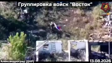 Юлия Витязева: Российские флаги в населённых пунктах: