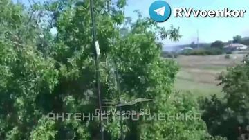 ����� ���: ����� ������� ���������� ������ � ������� ����� � ���� �� ��������������� � �� ����������������