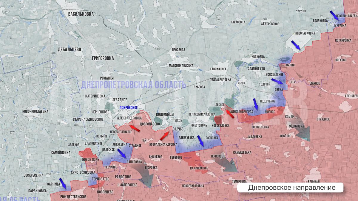 Олег Царёв: Фронтовая сводка. Фронтовая сводка 18 августа Олег Царёв: Фронтовая сводка. Фронтовая сводка 18 августа