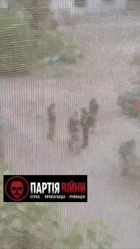 ���������� ���������������� ������� �� ������� ������ ���������� ��������� �� ����������� ����