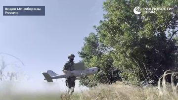 ���������� ���� "�����" ������ ��������� ������ ��� �� ������ ������ ������