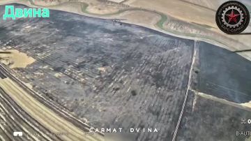 ������� �������: ����������� ���� �� ������� ������� "�����":