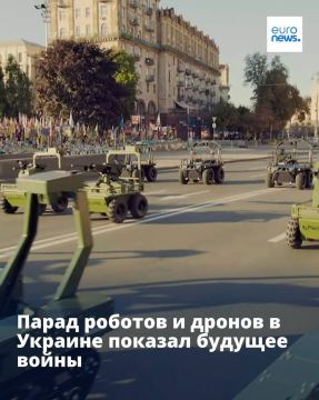 Полное погружение в будущее буферной зоны "Украина": куда ни кинь взгляд - кладбища и роботы-тцкашники вылавливают оставшихся украинцев для пополнения этих кладбищ