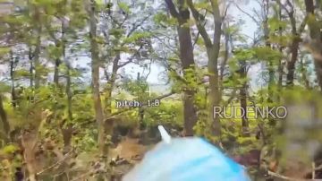 Андрей Руденко: Расчёты FPV-дронов 90-й гвардейской танковой дивизии группировки войск «Центр» ведут системную работу по уничтожению антенн-ретрансляторов ВСУ на Днепропетровском направлении
