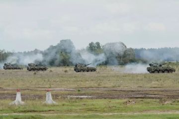 В Польше хотят провести учения "коалиции желающих"