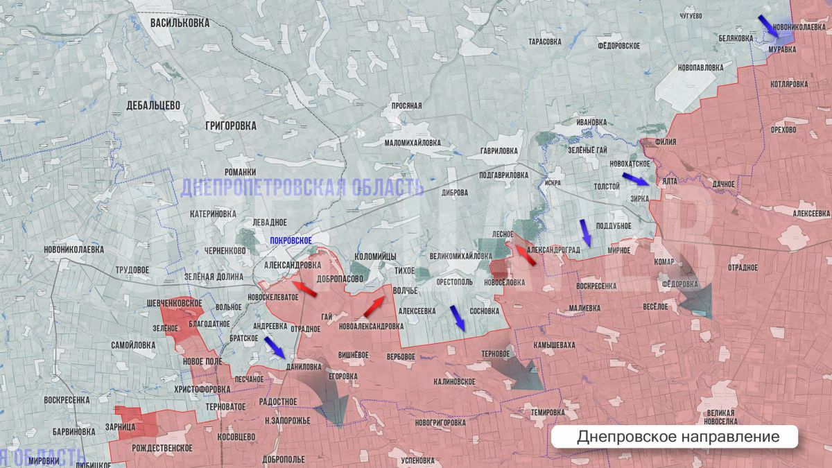 Олег Царёв: Фронтовая сводка 1 сентября Олег Царёв: Фронтовая сводка 1 сентября