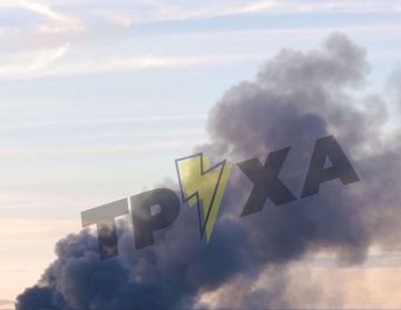 В Житомире "Герань" стала причиной мощного пожара на объекте