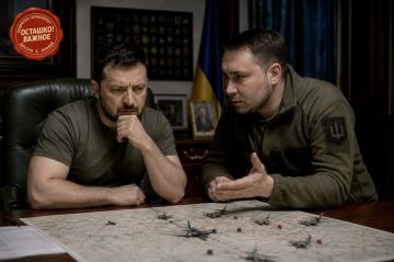 Террорист Буданов отговаривает Зеленского от ударов по российским аэропортам