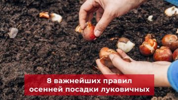 ��� ���� ��������, ��������, ������� � ������� ������ ������������ � �����