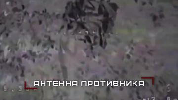 ����������� ����� ������ ������� � ������ ����� � ���� �� ����������, ����������� � � ���������������� �������