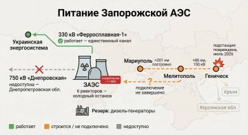 Олег Царёв: О том, как Россия пытается подключить Запорожскую АЭС к своей энергосистеме