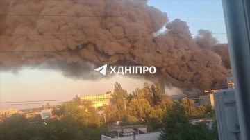 � ��������������� ��������� ������� ������������� �������� "�����" �������� ����� 30 000 �2, ������������������ �� ����������� ��������� �������, � ����� �������� ����������, �������� ��������� � ������������� ���...