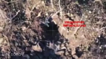 ������ ��������: #���������. ������ 152-�� ������� �����-�� 29-� ����� ����������� ������� �������� ������� ������ ��� � ���������������� �������