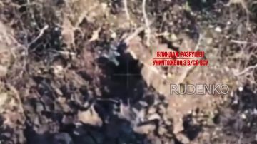 ������ �������: �������������� ������� �����-�� ����������� ����� ������� ���������� �������� ���������� �������� � ���������������� �������