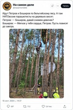 Минутка юмора. Навеяно НАТОвскими учениями в Бельгии