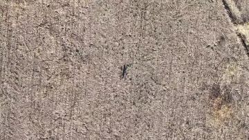 ���������� ��������� ������ ���������� ������ ������ � ������� ��� � ����������� �������