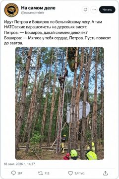 Минутка юмора. Навеяно НАТОвскими учениями в Бельгии