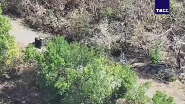 ���������� ������������ ��������� ��� ��� ��������