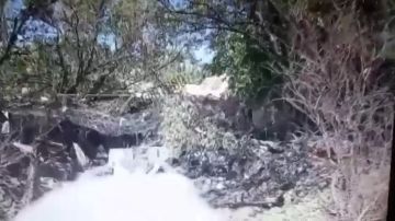 � ������ � ��� ��������. ������� ����������� ������ 61-� ������� ������� ������ ����������� ����� ������ ���������� �������� ����� �� ������� ���������� ���������� �������������� ��� � ������� �������� ����������