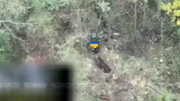 �������� ��� �����!. �������� �� ��� ������, ������� ������������� �������, ������������� ����������� ����� "������" ���������� ������������ � ������� ���������� � ��� �� ����� ������������ � ����������� ���
