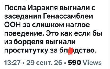 ������� �����. �����������