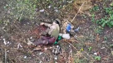 Противник продолжает попытки своего наступления на стыке ДНР, Запорожской и Днепропетровской области